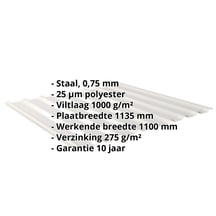 Damwandplaat 20/1100 | Dak | Anti-Drup 1000 g/m² | Staal 0,75 mm | 25 µm Polyester | 9006 - Zilver-Metallic #2