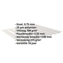 Damwandplaat 20/1100 | Dak | Anti-Drup 700 g/m² | Staal 0,75 mm | 25 µm Polyester | 9006 - Zilver-Metallic #2