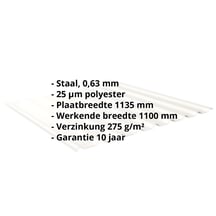 Damwandplaat 20/1100 | Dak | Staal 0,63 mm | 25 µm Polyester | 9010 - Zuiverwit #2