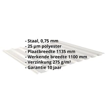 Damwandplaat 20/1100 | Dak | Staal 0,75 mm | 25 µm Polyester | 9006 - Zilver-Metallic #2
