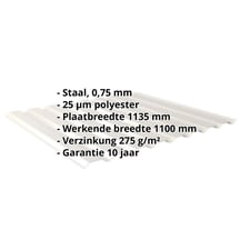 Damwandplaat 20/1100 | Gevel | Staal 0,75 mm | 25 µm Polyester | 9002 - Grijswit #2