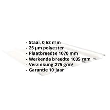 Damwandplaat 35/207 | Dak | Staal 0,63 mm | 25 µm Polyester | 9010 - Zuiverwit #2