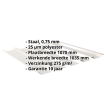Damwandplaat 35/207 | Dak | Staal 0,75 mm | 25 µm Polyester | 9002 - Grijswit #2