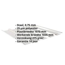 Damwandplaat 35/207 | Dak | Staal 0,75 mm | 25 µm Polyester | 9006 - Zilver-Metallic #2