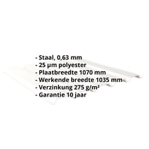 Damwandplaat 35/207 | Gevel | Staal 0,63 mm | 25 µm Polyester | 9010 - Zuiverwit #2