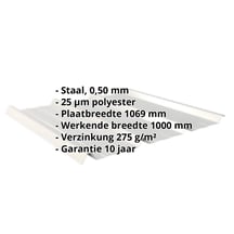Damwandplaat 45/333 | Dak | Staal 0,50 mm | 25 µm Polyester | 9006 - Zilver-Metallic #2