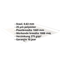 Damwandplaat 45/333 | Dak | Staal 0,63 mm | 25 µm Polyester | 9010 - Zuiverwit #2