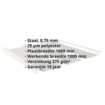Damwandplaat 45/333 | Dak | Staal 0,75 mm | 25 µm Polyester | 9006 - Zilver-Metallic #2