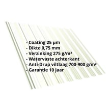 Damwandplaat T18DR | Dak | Anti-Drup 700 g/m² | Staal 0,75 mm | 25 µm Polyester | 9002 - Grijswit #2