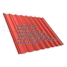 Damwandplaat T20M | Dak | Anti-Drup 700 g/m² | Staal 0,50 mm | 25 µm Polyester | 3016 - Koraalrood #2