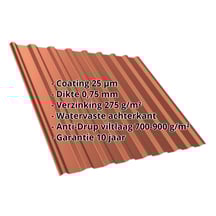 Damwandplaat T20M | Dak | Anti-Drup 700 g/m² | Staal 0,75 mm | 25 µm Polyester | 8004 - Koperbruin #2