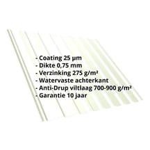 Damwandplaat T20M | Dak | Anti-Drup 700 g/m² | Staal 0,75 mm | 25 µm Polyester | 9002 - Grijswit #2