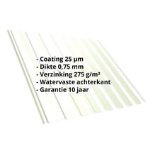 Damwandplaat T20M | Dak | Staal 0,75 mm | 25 µm Polyester | 9002 - Grijswit #2