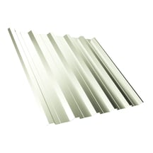 Damwandplaat T35DR | Dak | Staal 0,50 mm | 25 µm Polyester | 9002 - Grijswit #1