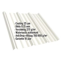 Damwandplaat T45/333M | Dak | Anti-Drup 700 g/m² | Staal 0,75 mm | 25 µm Polyester | 9010 - Zuiverwit #2