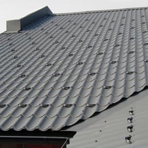 Sneeuwbeschermbeugel | 9005 - Gitzwart #2