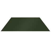 Vlakke plaat | Staal 0,50 mm | 25 µm Polyester | 6020 - Chroomoxydegroen #1