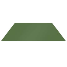 Vlakke plaat | Staal 0,50 mm | 25 µm Polyester | 6011 - Resedagroen #1