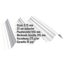 Warmdakplaat T92P | Dak Staal 0,75 mm | 25 µm Polyester | 9010 - Zuiverwit Warmdakplaat T92P | Dak | Staal 0,75 mm | 25 µm Polyester | 9010 - Zuiverwit #2