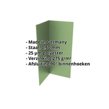 Binnenhoek | 100 x 100 x 2000 mm | Staal 0,50 mm | 25 µm Polyester | 6011 - Resedagroen #2