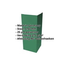 Buitenhoek | 100 x 100 x 2000 mm | Staal 0,50 mm | 25 µm Polyester | 6029 - Mintgroen #2