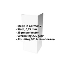 Buitenhoek | 100 x 100 x 2000 mm | Staal 0,75 mm | 25 µm Polyester | 7035 - Lichtgrijs #2