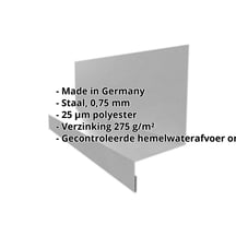 Dorpel | Typ 1 | 40 x 24 x 25 x 2000 mm | Staal 0,75 mm | 25 µm Polyester | 9007 - Grijs aluminiumkleurig #2