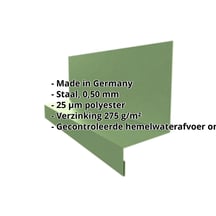 Dorpel | Typ 1 | 40 x 24 x 25 x 2000 mm | Staal 0,50 mm | 25 µm Polyester | 6011 - Resedagroen #2