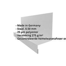 Dorpel | Typ 1 | 40 x 24 x 25 x 2000 mm | Staal 0,50 mm | 25 µm Polyester | 9006 - Zilver-Metallic #2