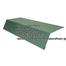 Druiplijst | 125 x 70 x 2000 mm | Staal 0,75 mm | 25 µm Polyester | 6005 - Mosgroen #2