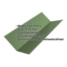 Kilgoot | 195 x 195 x 2000 mm | Staal 0,75 mm | 25 µm Polyester | 6011 - Resedagroen #2