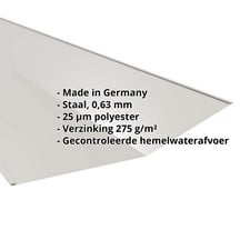 Kilgoot | 490 x 490 x 2000 mm | Staal 0,63 mm | 25 µm Polyester | 9006 - Zilver-Metallic #2