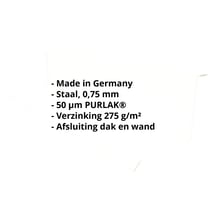 Muuraansluiting | Typ 1 | 100 x 110 x 2000 mm | 90° | Staal 0,75 mm | 50 µm PURLAK® | 9002 - Grijswit #2