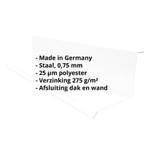 Muuraansluiting | Typ 1 | 100 x 110 x 2000 mm | 90° | Staal 0,75 mm | 25 µm Polyester | 7035 - Lichtgrijs #2