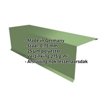 Nok lessenaarsdak | 110 x 100 x 2000 mm | 80° | Staal 0,75 mm | 25 µm Polyester | 6011 - Resedagroen #2