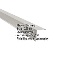 Nok lessenaarsdak | 11,5 x 11,5 cm | 80° | Staal 0,75 mm | 25 µm Polyester | 9006 - Zilver-Metallic #2