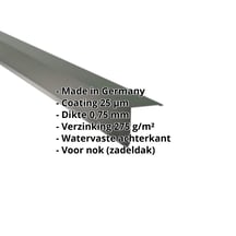 Nok lessenaarsdak | 115 x 115 mm | 80° | Staal 0,75 mm | 25 µm Polyester | 6020 - Chroomoxydegroen #2