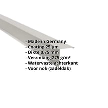 Nok lessenaarsdak | 115 x 115 mm | 80° | Staal 0,75 mm | 25 µm Polyester | 9006 - Zilver-Metallic #2