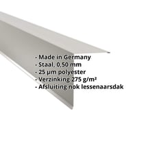 Nok lessenaarsdak | 200 x 250 mm | 80° | Staal 0,50 mm | 25 µm Polyester | 9006 - Zilver-Metallic #2