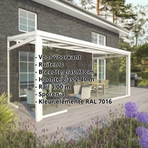 Glazen schuifdeuren | Voorkant | RAL 9001 | Breedte 3,00 m | Ruiten 3 | Glasbreedte 98 cm #2