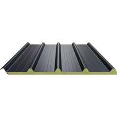 Sandwich Paneel ECO 1000-30 | Dak | Kern 3 cm | 25 µm Polyester | 7016 - Antracietgrijs | 2,60 m