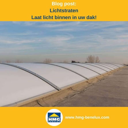 Reeks lichtlijnen op het dak van een gebouw, die zorgen voor natuurlijke verlichting tegen een heldere hemel.