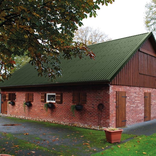 Damwandplaat 20/1100 | Dak | Restpartij | Staal 0,40 mm | 25 µm Polyester | 6020 - Chroomoxydegroen #6