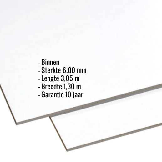 HPL plaat | Binnen | 6 mm | Lichtgrijs | 3,05 x 1,30 m #2