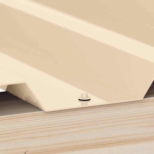 RVS schroeven | Voor montage dal op houten constructie | 6,0 x 40 mm E19 | Licht Ivoorkleurig #2