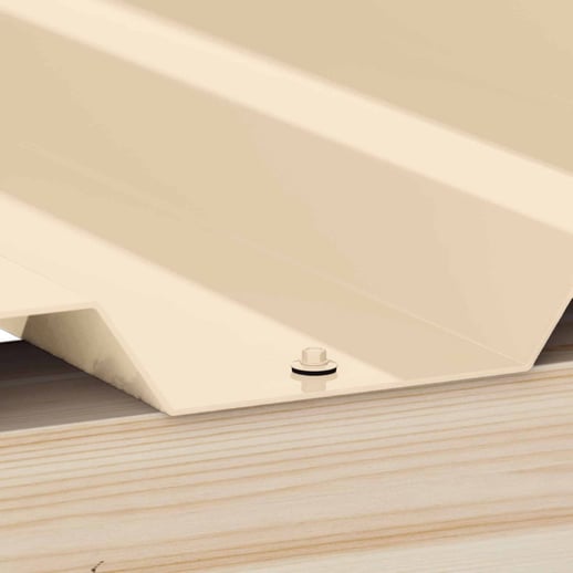 RVS schroeven | Voor montage dal op houten constructie | 6,0 x 40 mm E19 | Licht Ivoorkleurig #2