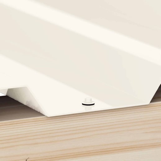 RVS schroeven | Voor montage dal op houten constructie | 6,0 x 40 mm E19 | Zuiverwit #2