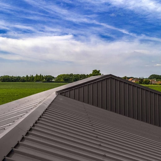 Sandwich Paneel ECO 1000-30 | Dak | Kern 3 cm | 25 µm Polyester | 8019 - Grijsbruin | 3,10 m #12