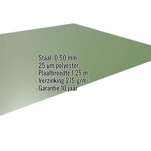 Vlakke plaat | Staal 0,50 mm | 25 µm Polyester | 6011 - Resedagroen #2