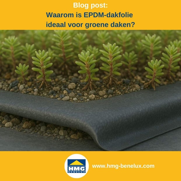 Titelafbeelding van een blogbericht met als onderwerp ‘EPDM-folie voor groendaken’. Er wordt een uitsnede van een dak met beplanting getoond, samen met het logo en het webadres van HMG-Benelux-shop.com.